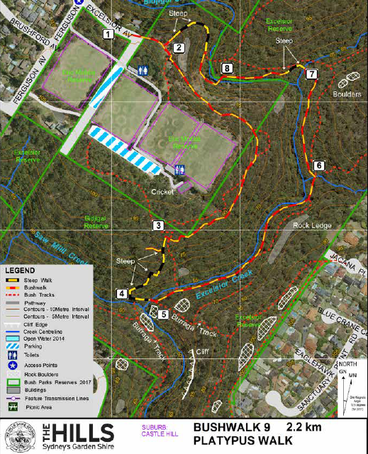 Platypus Track